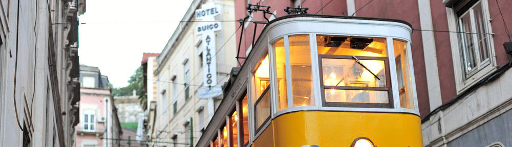 Breeze Screen Repair